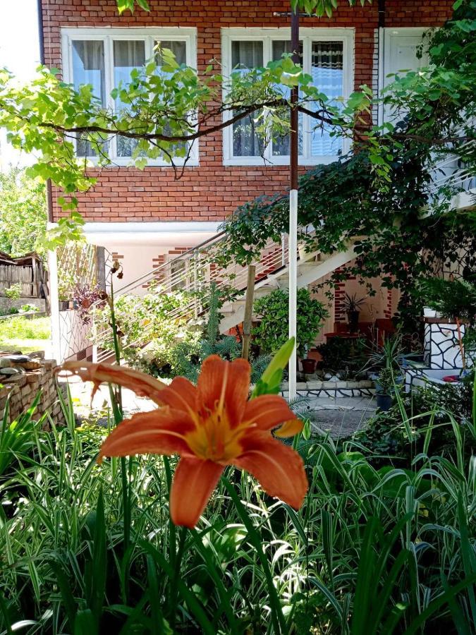 Guest House Meri Poppins Dedoplis Tskaro Luaran gambar